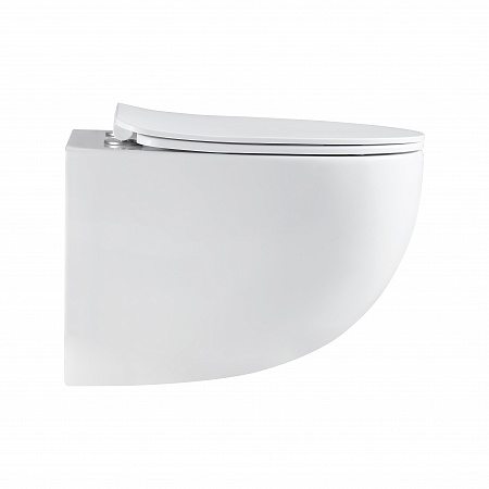 Подвесной унитаз безободковый Terminus Енисей Monolit 560х390 белый Королёв - фото 4