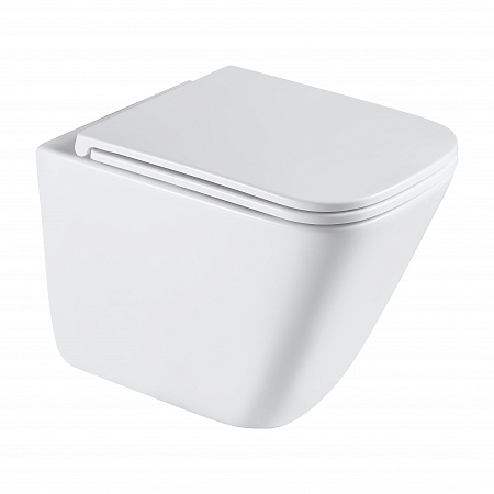 Подвесной унитаз безободковый Terminus Ватикан Monolit 490х340 белый Королёв - фото 2