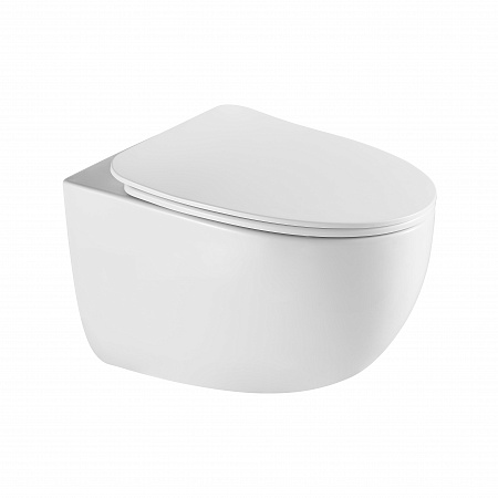 Подвесной унитаз безободковый Terminus Енисей Monolit 560х390 белый Королёв - фото 2