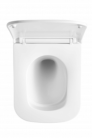 Подвесной унитаз безободковый Terminus Ватикан Monolit 490х340 белый Королёв - фото 3